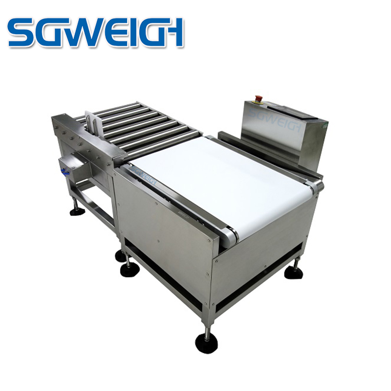  Large Package Check Weigher for Food Packaging Carton Dynamic Weighing Solutions