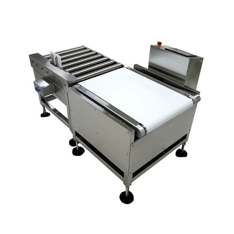 Reliable 2kg-50kg Capacity Industrial Check Weigher Weight Checker for Box Carton